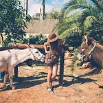 Finca Can Paulino (Adults Only)