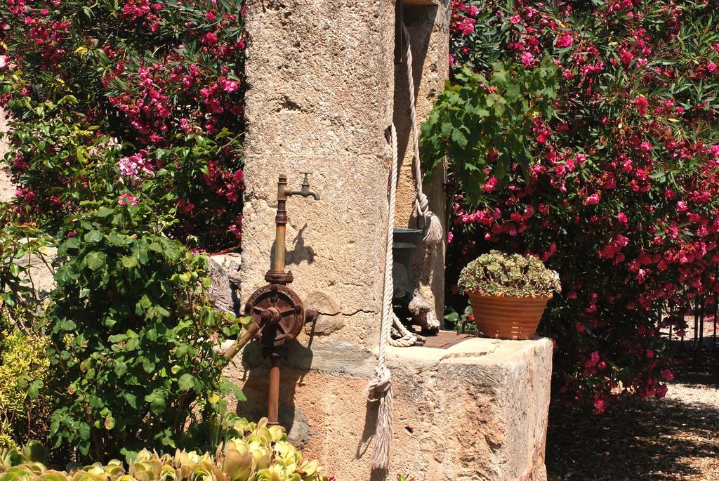Paulino (adults Only) Llucmajor (Mallorca)