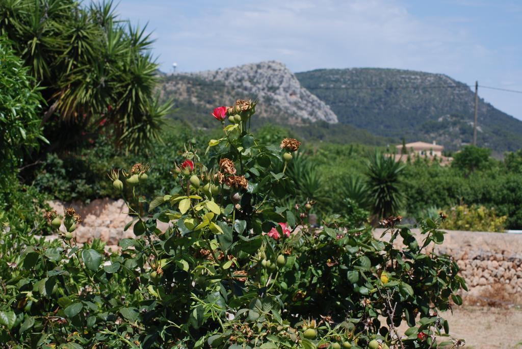 Landhuis Paulino (adults Only) *