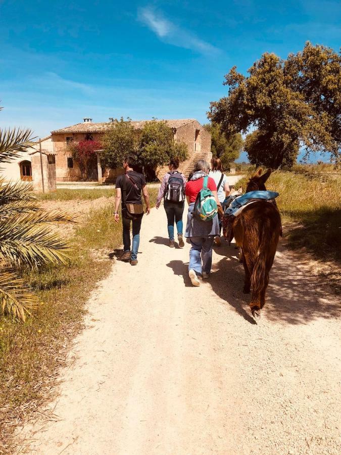 Paulino (adults Only) Landhuis